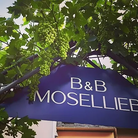Haus Moselliebe Komfortzimmer